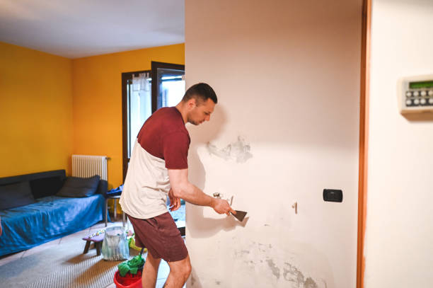 Best Certified Mold Removal  in Milan, OH
